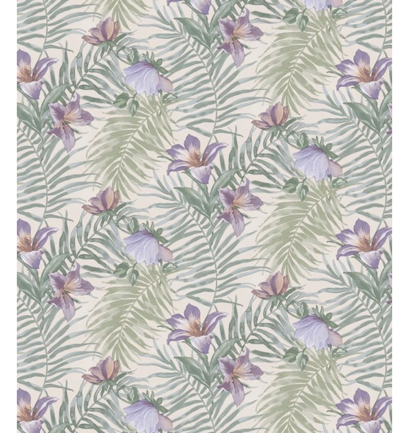 BON5Q604 BON5Q604 img