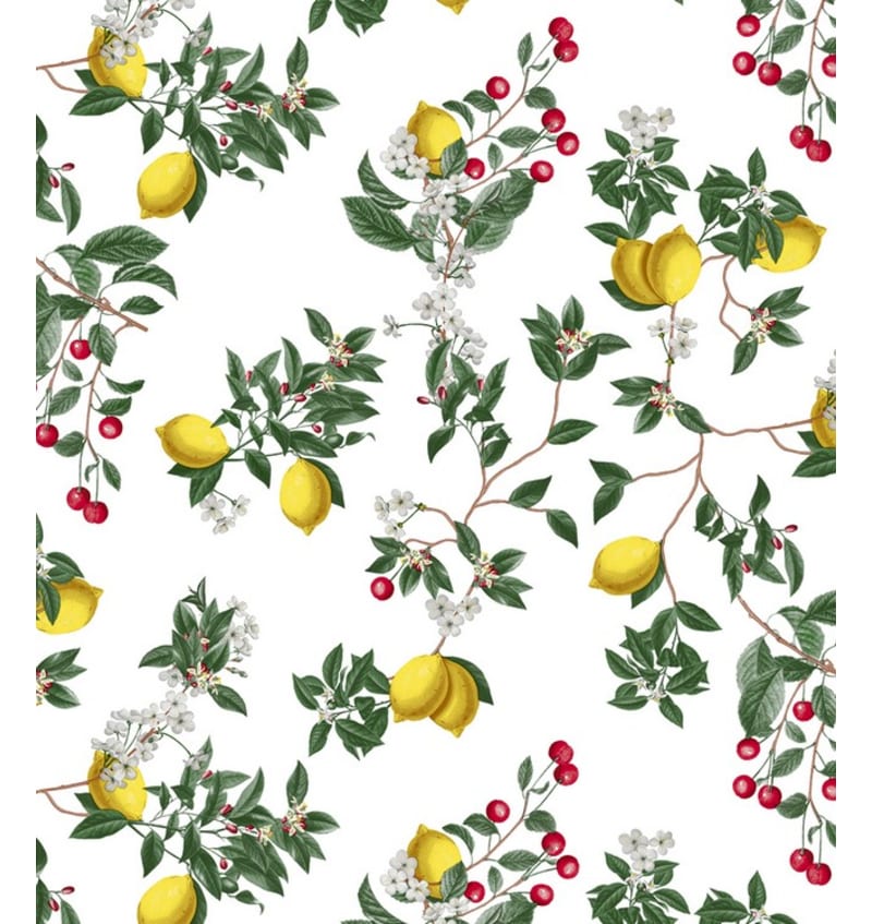 BON5R802 BON5R802 img