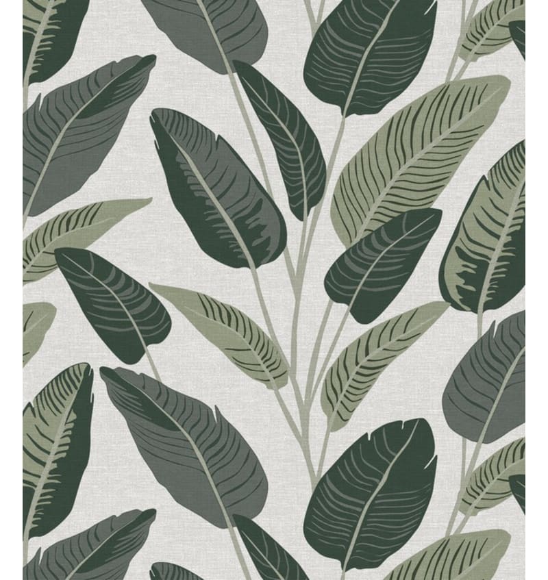 BON6626X02 BON6626X02 img