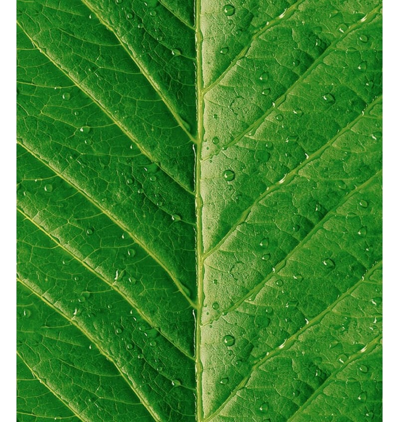 BON663G601 BON663G601 img