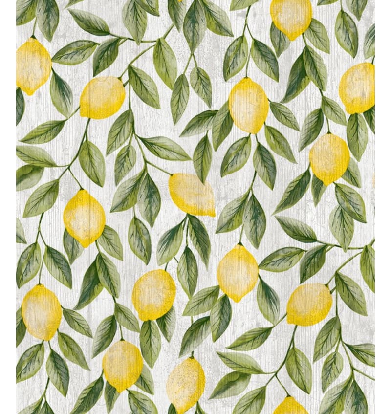 BON663K906 BON663K906 img