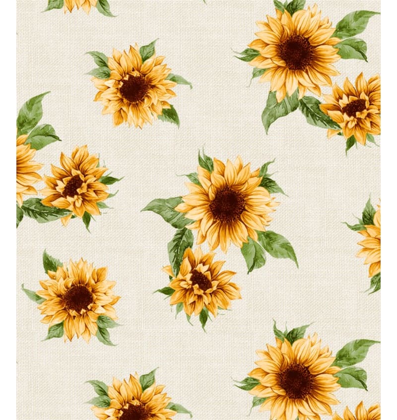 BON665Q101 BON665Q101 img