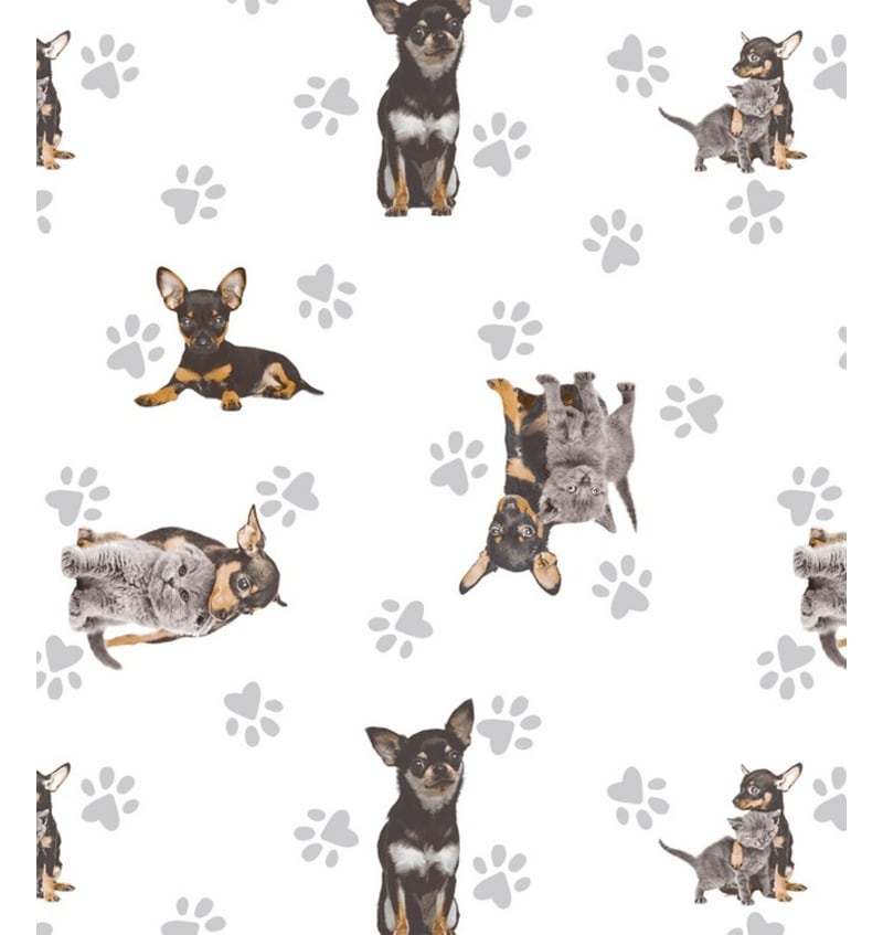 BONE4501 BONE4501 img