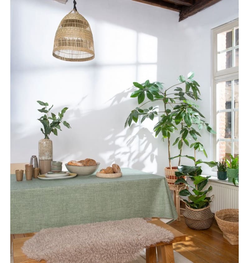 CAB01005 CAB01005 img