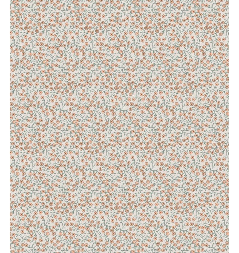 COO14064 COO14064 img