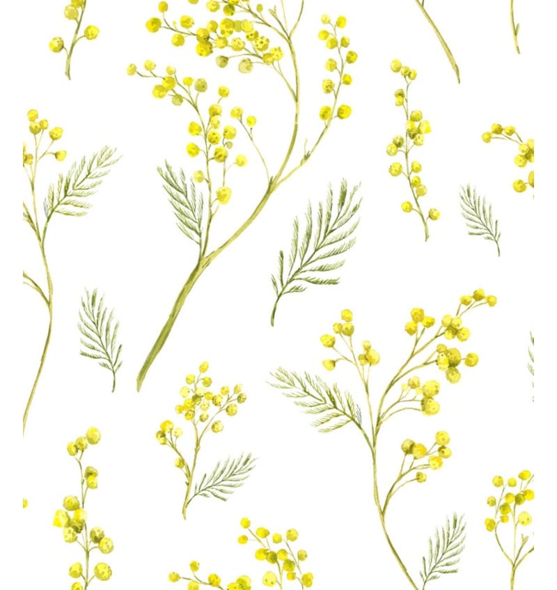 EUR01004 EUR01004 img