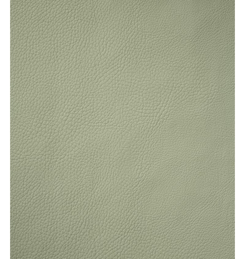 MON039991 MON039991 img