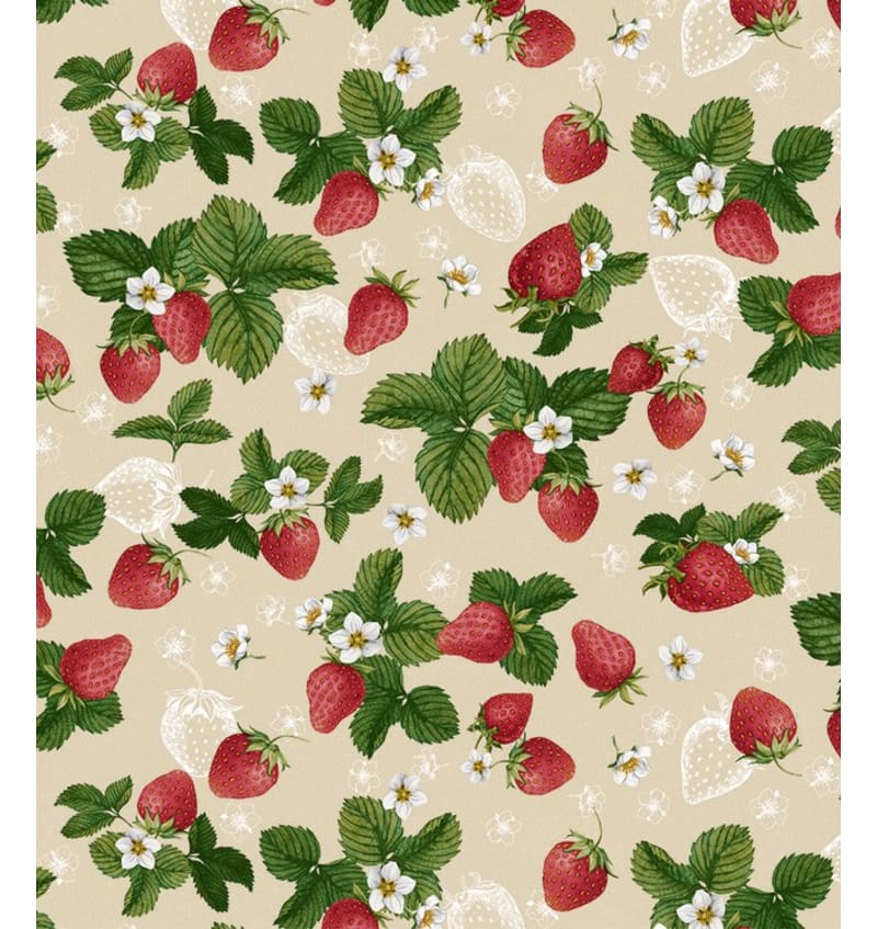 BONITA - 155cm rond - 6st/rol - FRAGARIA BON665T601 img