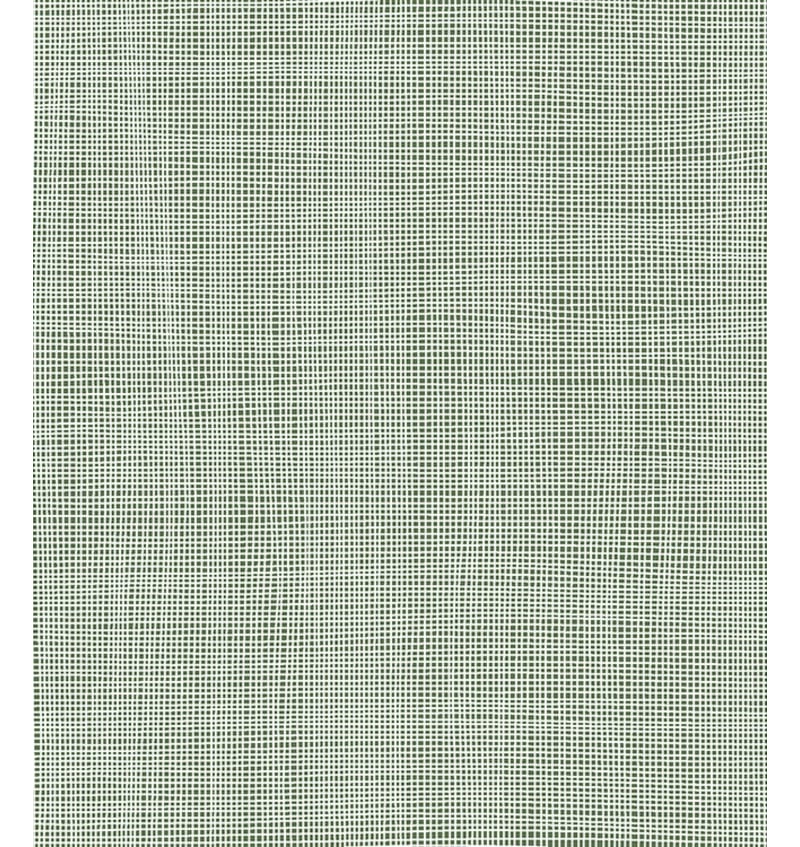 PLACEMAT - FINO - 30x43cm - 12st - GREEN PLM5903 img