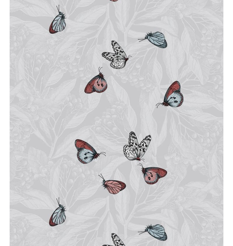 BONITA - 155cm rond - 6st/rol - BUTTERFLY WORLD GR BON664W204 img