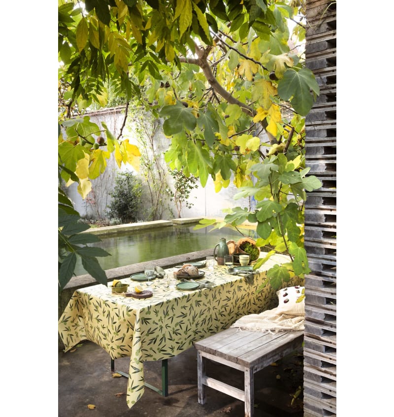 CAPTAIN COOK - 140cm - 20m - OLIVE IT JOJOBA - sfeerfoto COO01105 img