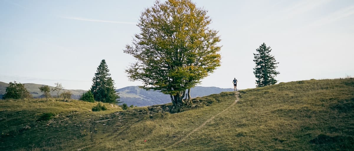 Ultra Trail des Montagnes du Jura 2026 : Près de 9000 trailers attendus