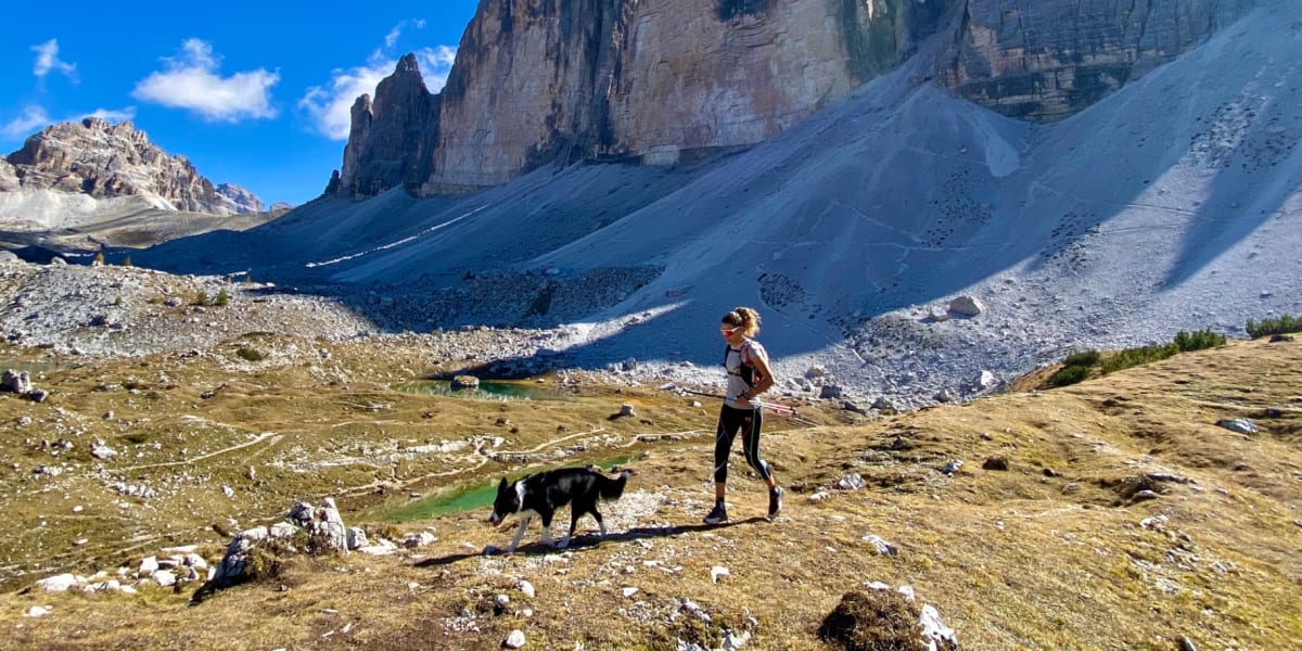 Trail running with your dog in the mountains: how to get into canitrail
