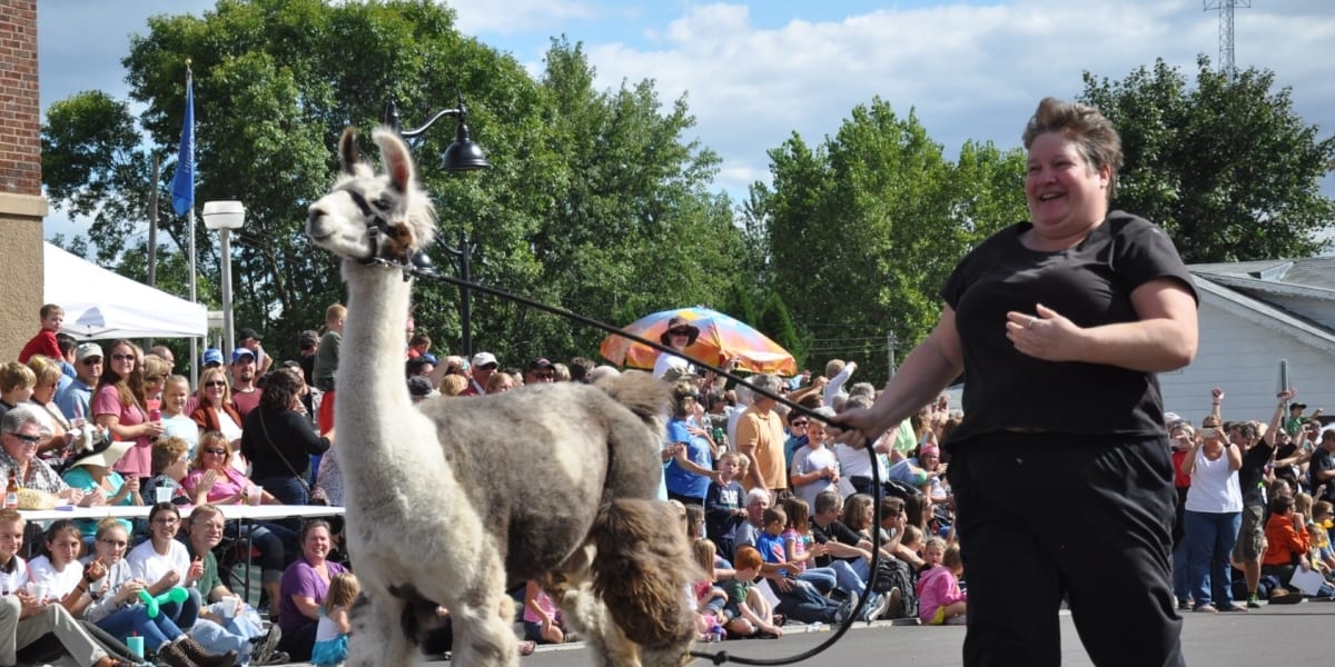 Course à pied et animaux : quand l’Homme court avec (ou contre) ses compagnons domestiqués