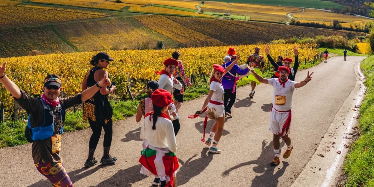 Marathon de Chablis : Courir au rythme des vendanges