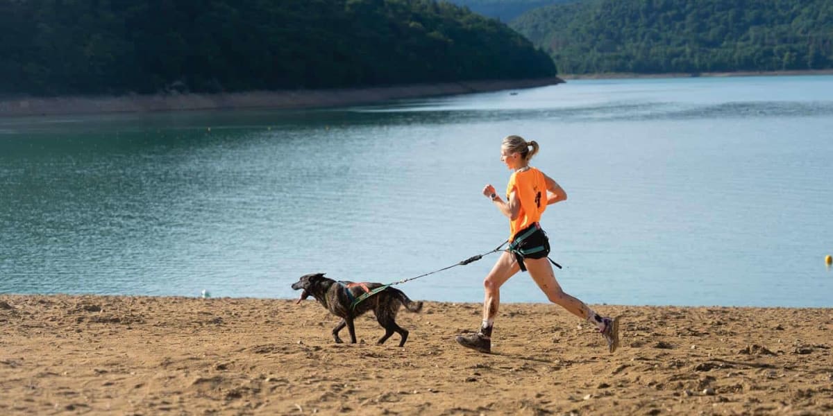 Running with a Dog: The Top 10 Canine Companions for Sports
