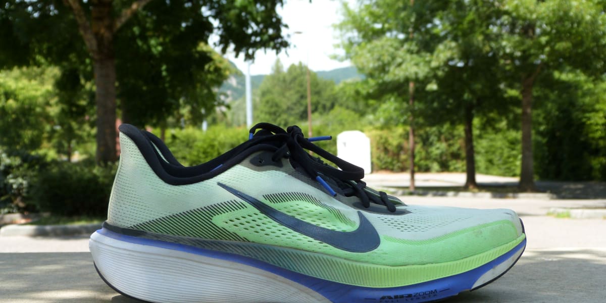 Nike Pegasus 42: Review After 100 km