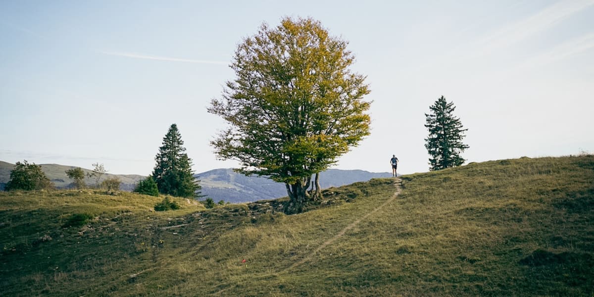 Ultra Trail des Montagnes du Jura 2026 : Près de 8500 trailers attendus