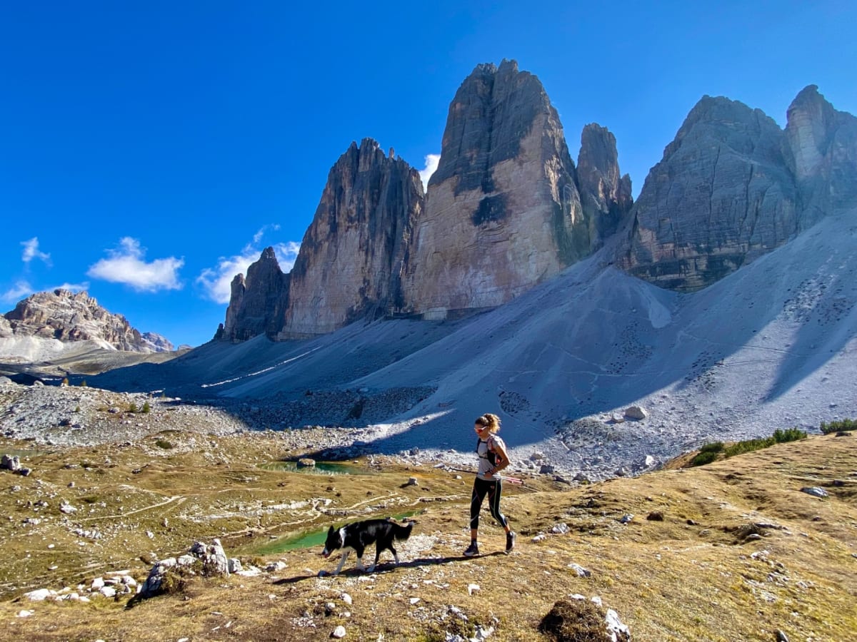Courir en montagne avec son chien : comment pratiquer le canitrail ?