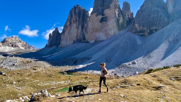 Courir en montagne avec son chien : comment pratiquer le canitrail ?