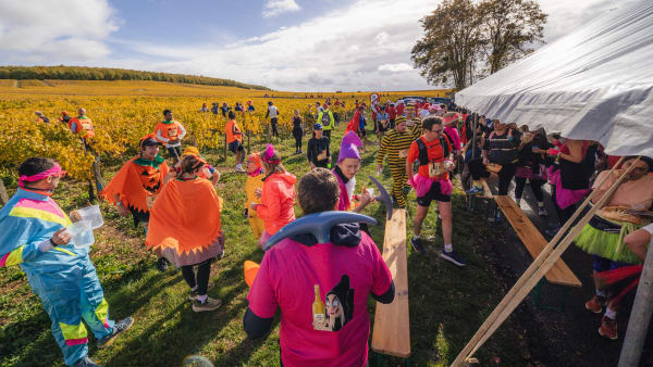 Marathon de Chablis : 4400 coureurs attendus au cœur des vignes