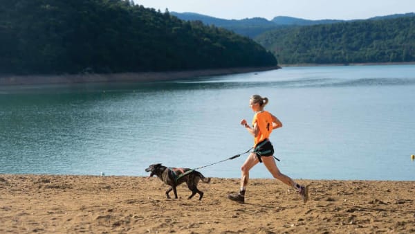 Courir avec un chien : les 10 meilleurs compagnons canins pour faire du sport