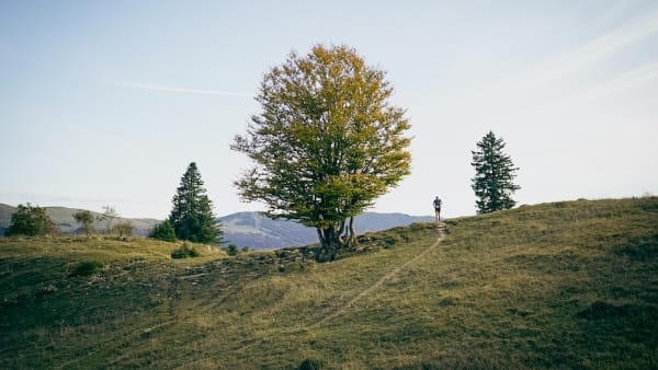 Ultra Trail des Montagnes du Jura 2026: cerca de 9000 trailrunners ya están en la salida