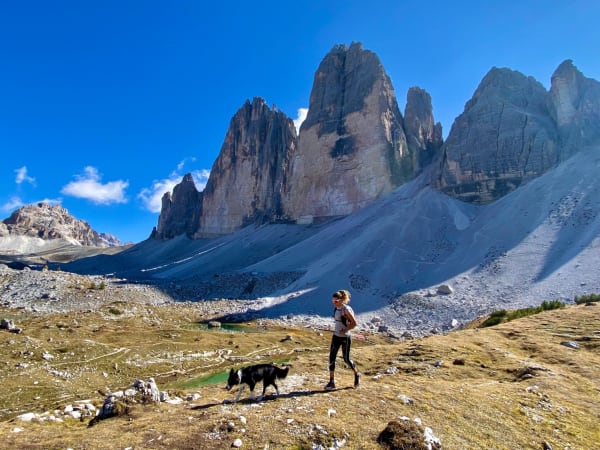 Courir en montagne avec son chien : comment pratiquer le canitrail ?