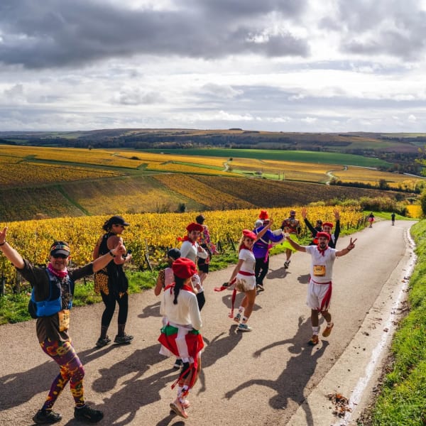 Marathon de Chablis : Courir au rythme des vendanges