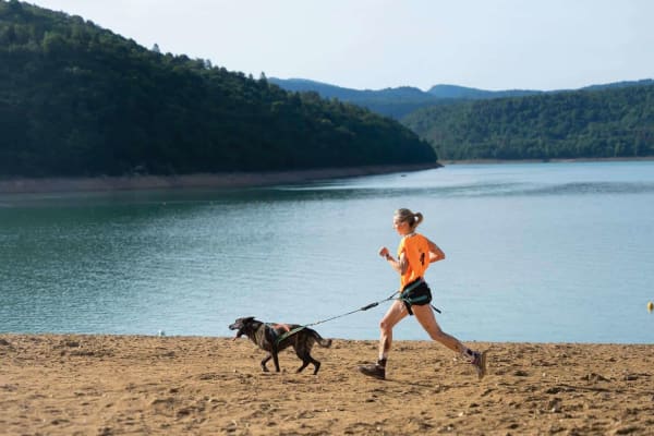 Courir avec un chien : les 10 meilleurs compagnons canins pour faire du sport