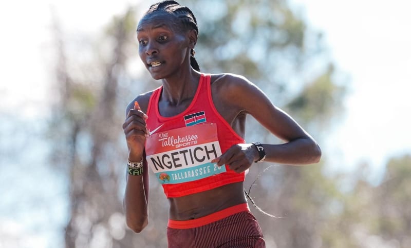 Découvrez les favoris des Mondiaux de running 2026 à Copenhague, du mile au semi-marathon, avec le choc Gressier-Ingebrigtsen sur 5 km.
