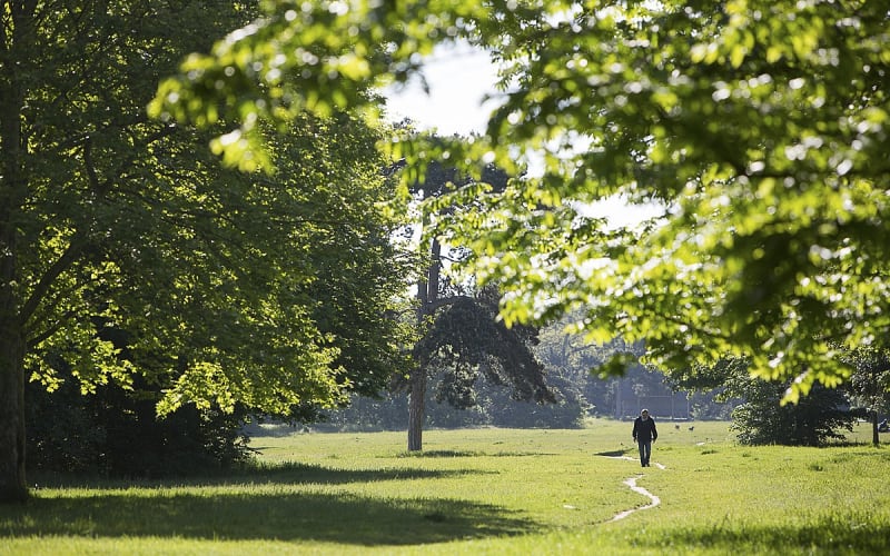 Paris semble hostile au running, mais regorge de pépites : bitume, sentiers boisés, spots secrets… À chacun son parcours dans la capitale.