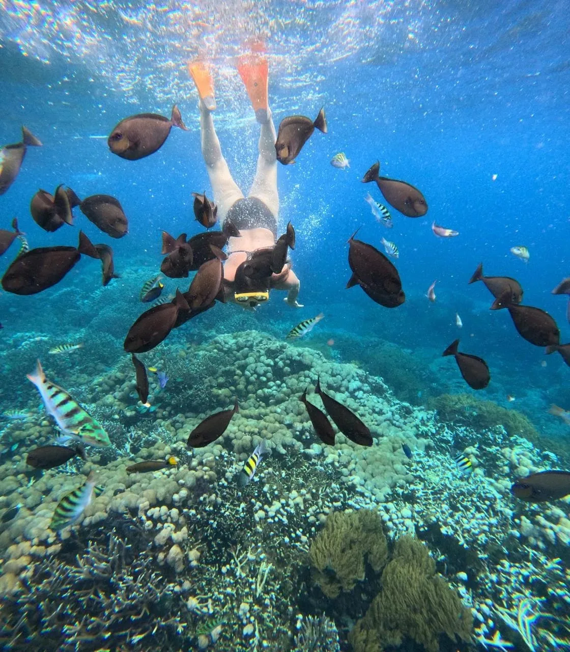 Nusa Penida Island Snorkeling Package