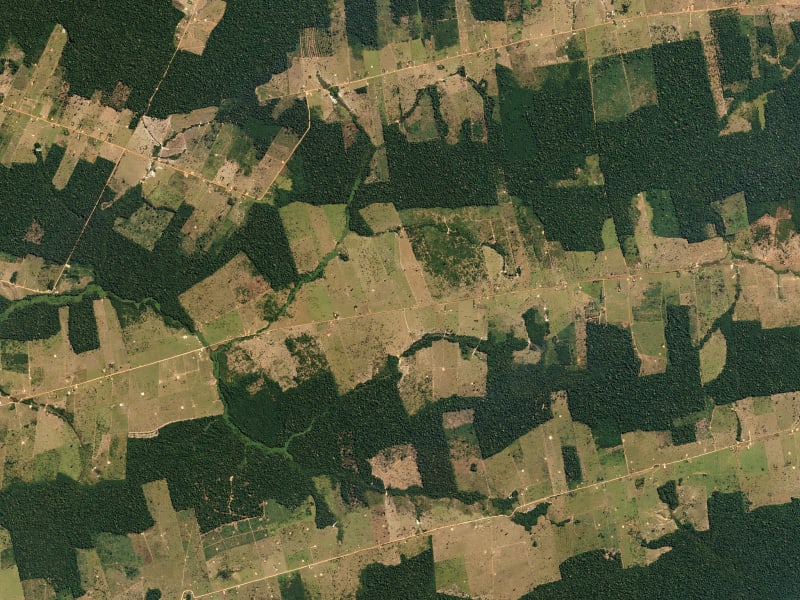 (Image) Farms and pastureland carve their way into tropical forestland in the Western Brazilian State of Rondônia.