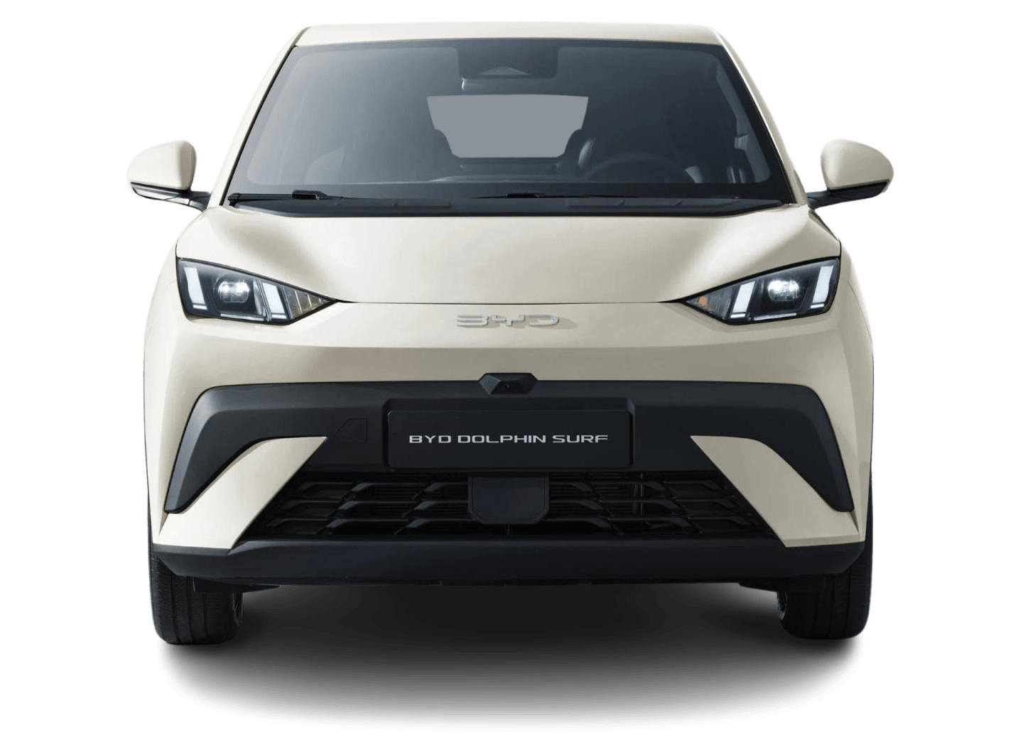BYD Dolphin Surf