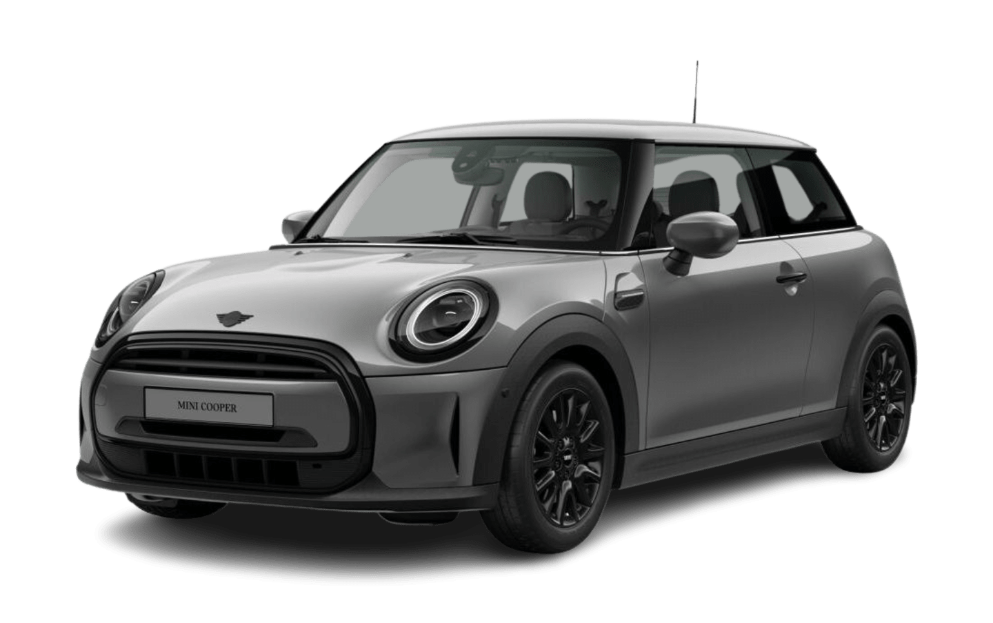 MINI 3 Türer