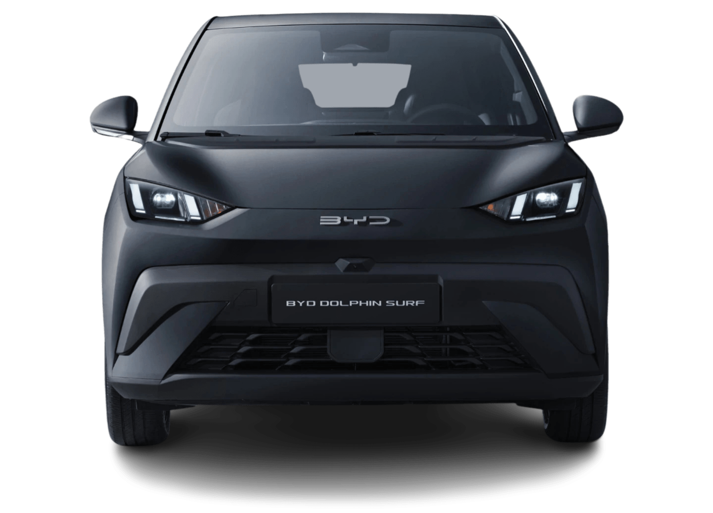 BYD Dolphin Surf