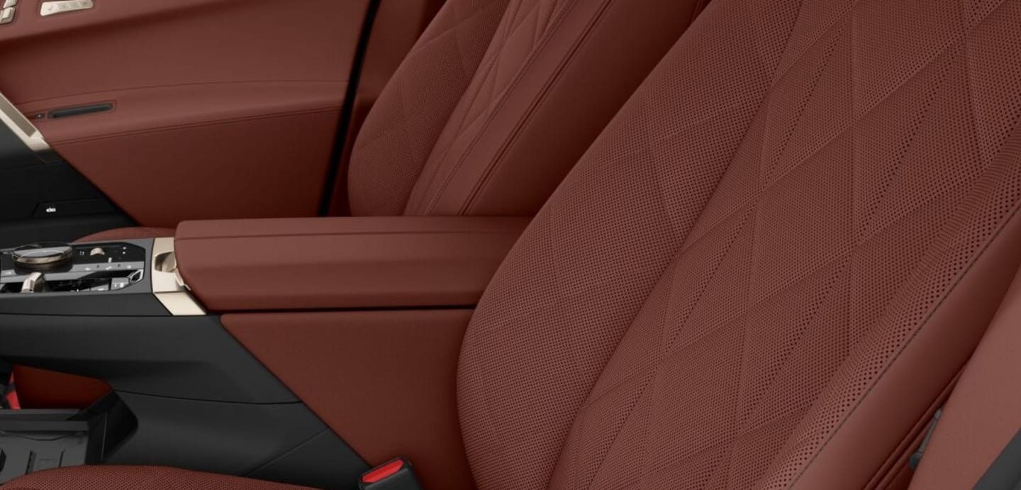 BMW iX M