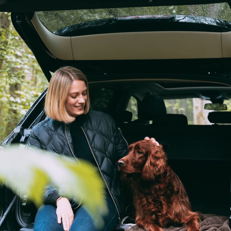 Volvo Reliabilit