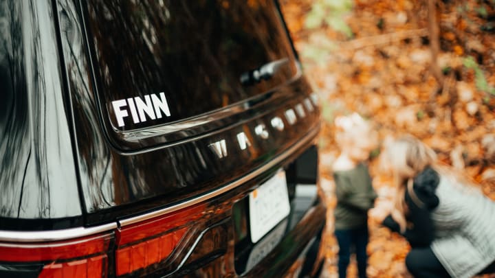 FINN steigt in den Club der 100 Millionen-ARR Un