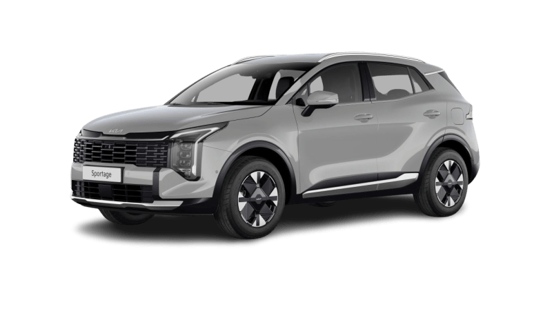 1.6 T-GDI Hybrid Vision Auto AWD
