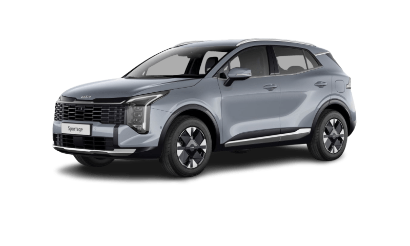 1.6 T-GDI Plug-in H Auto Plug & Ride AWD