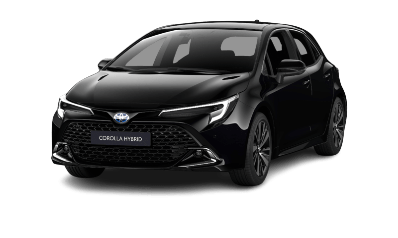 1,8 Hybrid Teamplayer