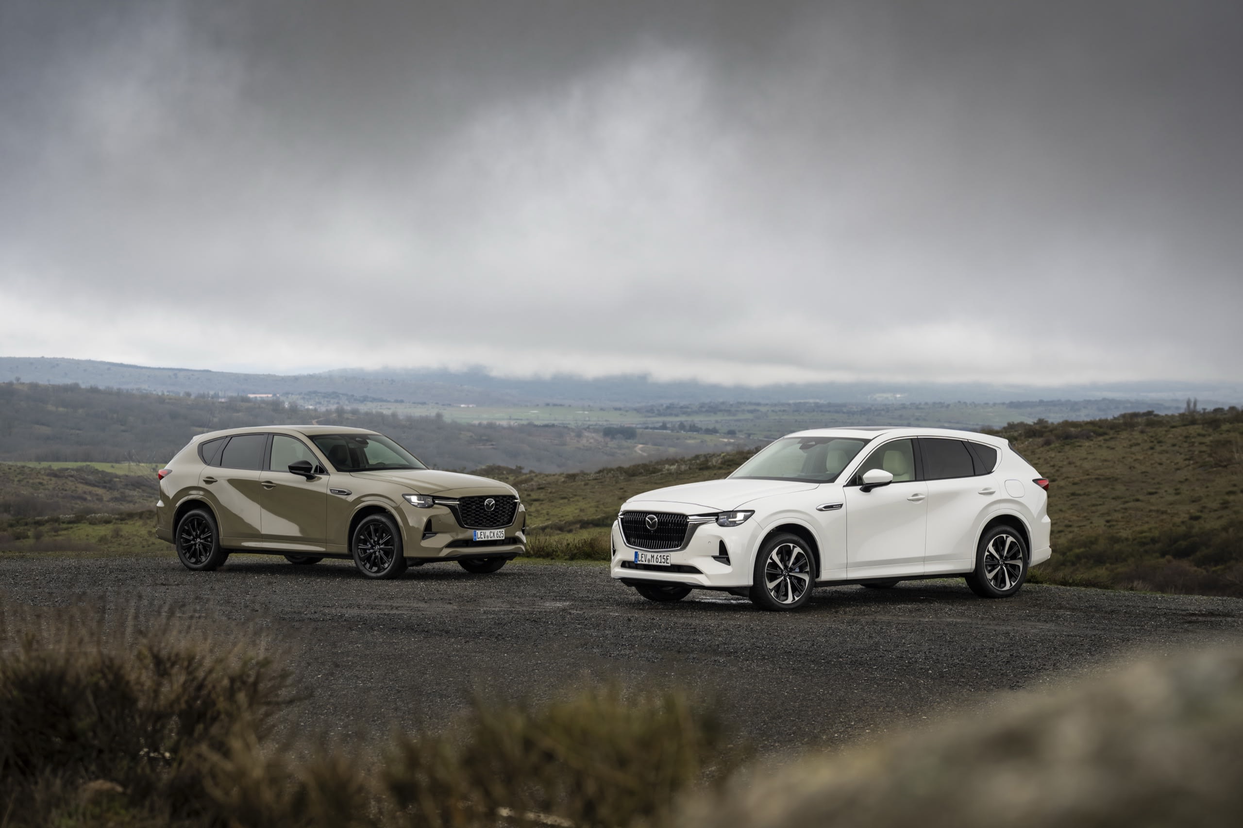 Mazda CX-60 vs. CX-80: Welches SUV ist besser?