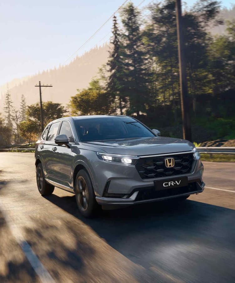 Grauer Honda CR-V bei Fahrt durch den Wald.