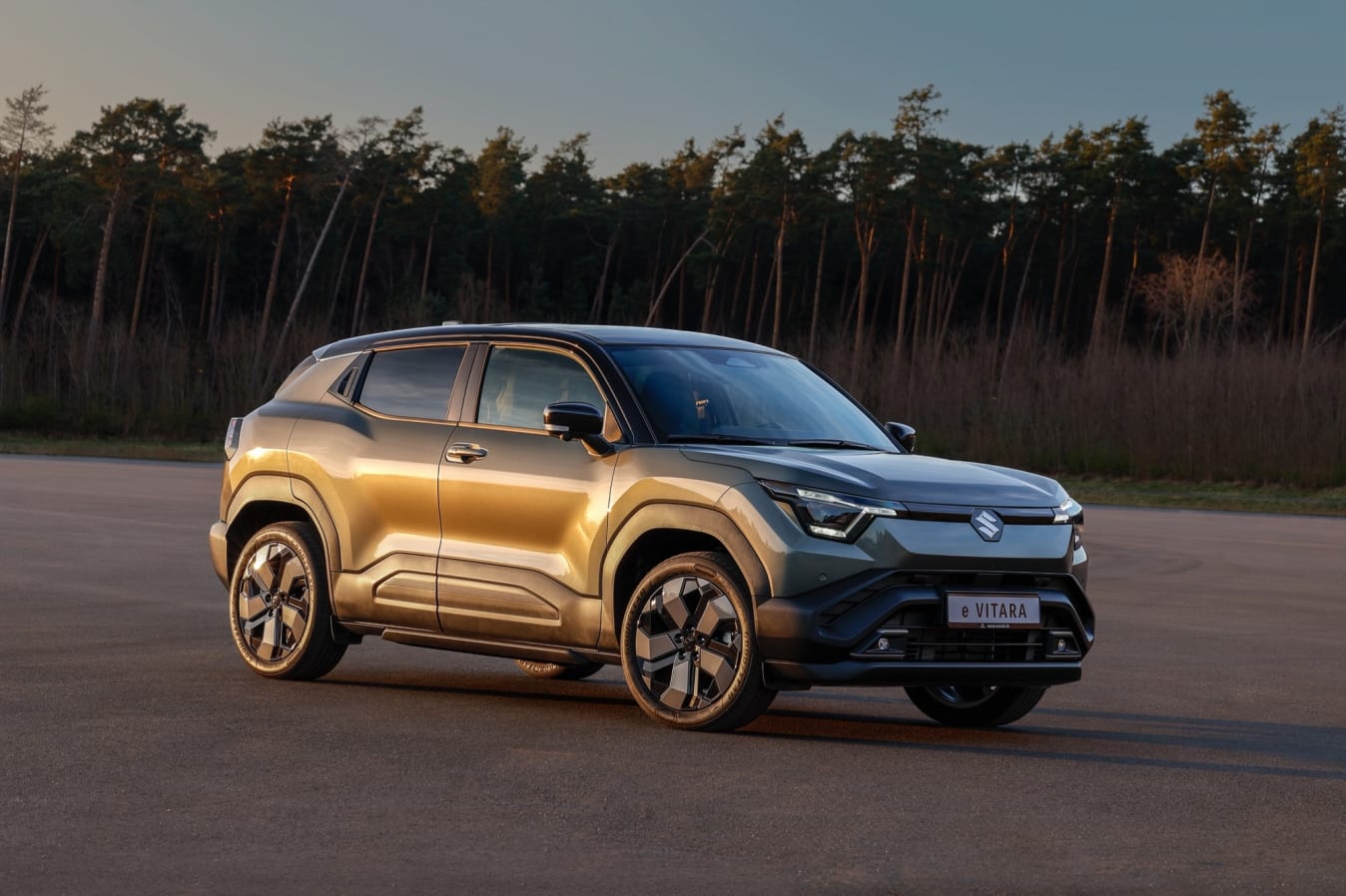 Ein grau-goldener Suzuki e VITARA steht bei Sonnenuntergang vor einem Kiefernwald.