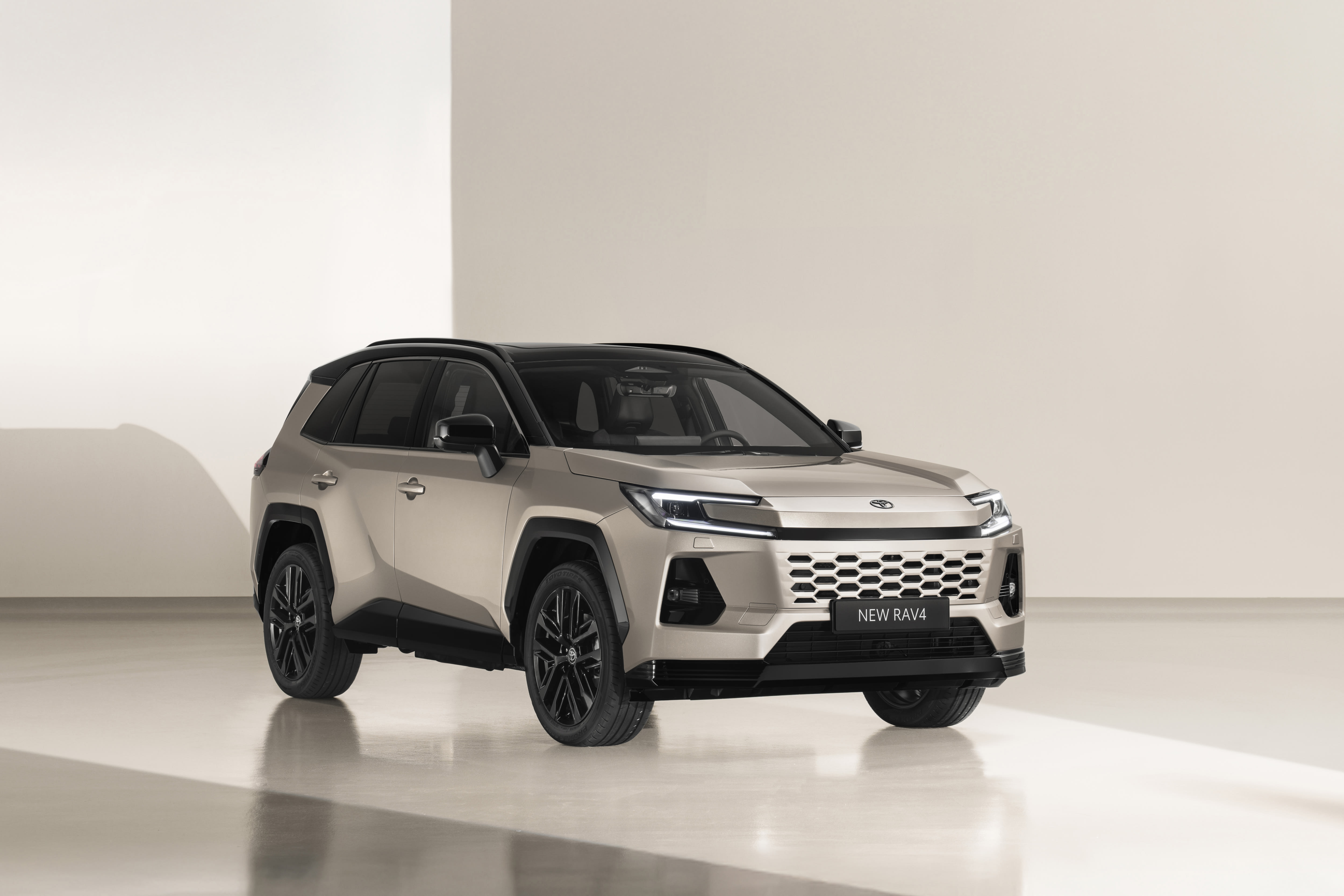 Ein Toyota RAV4 Hybrid.