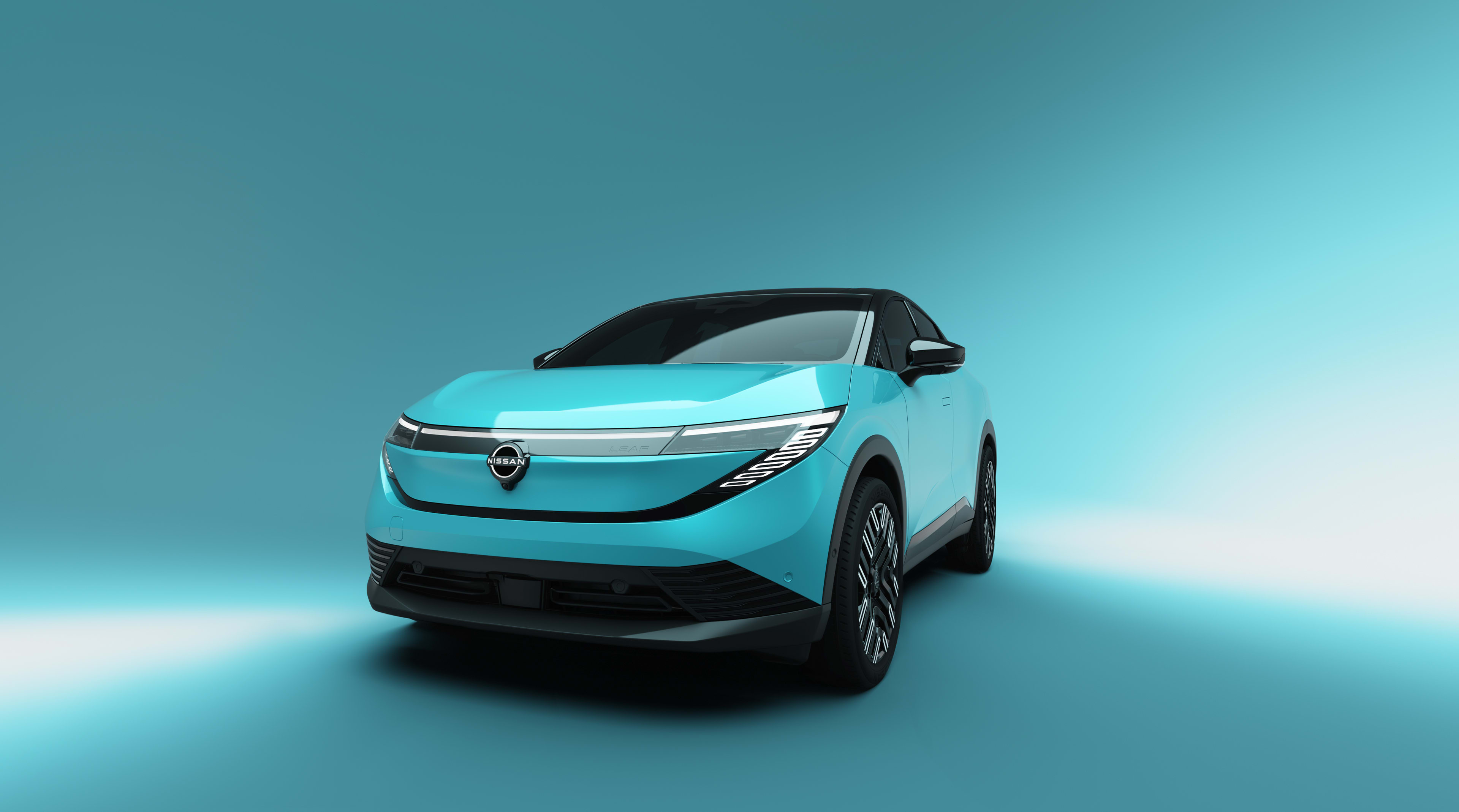 Ein Nissan Leaf.