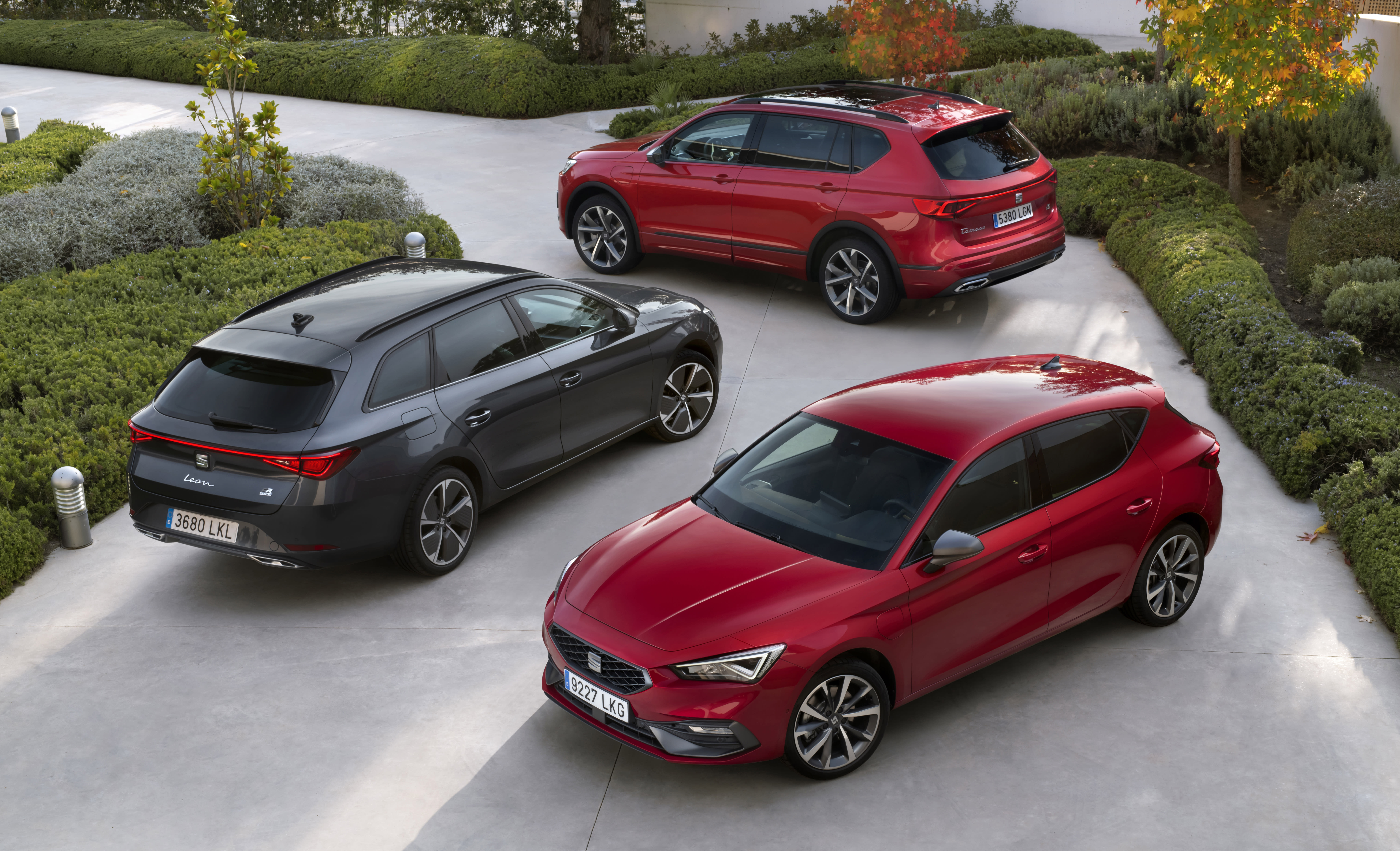 Mehrere SEAT Tarraco.