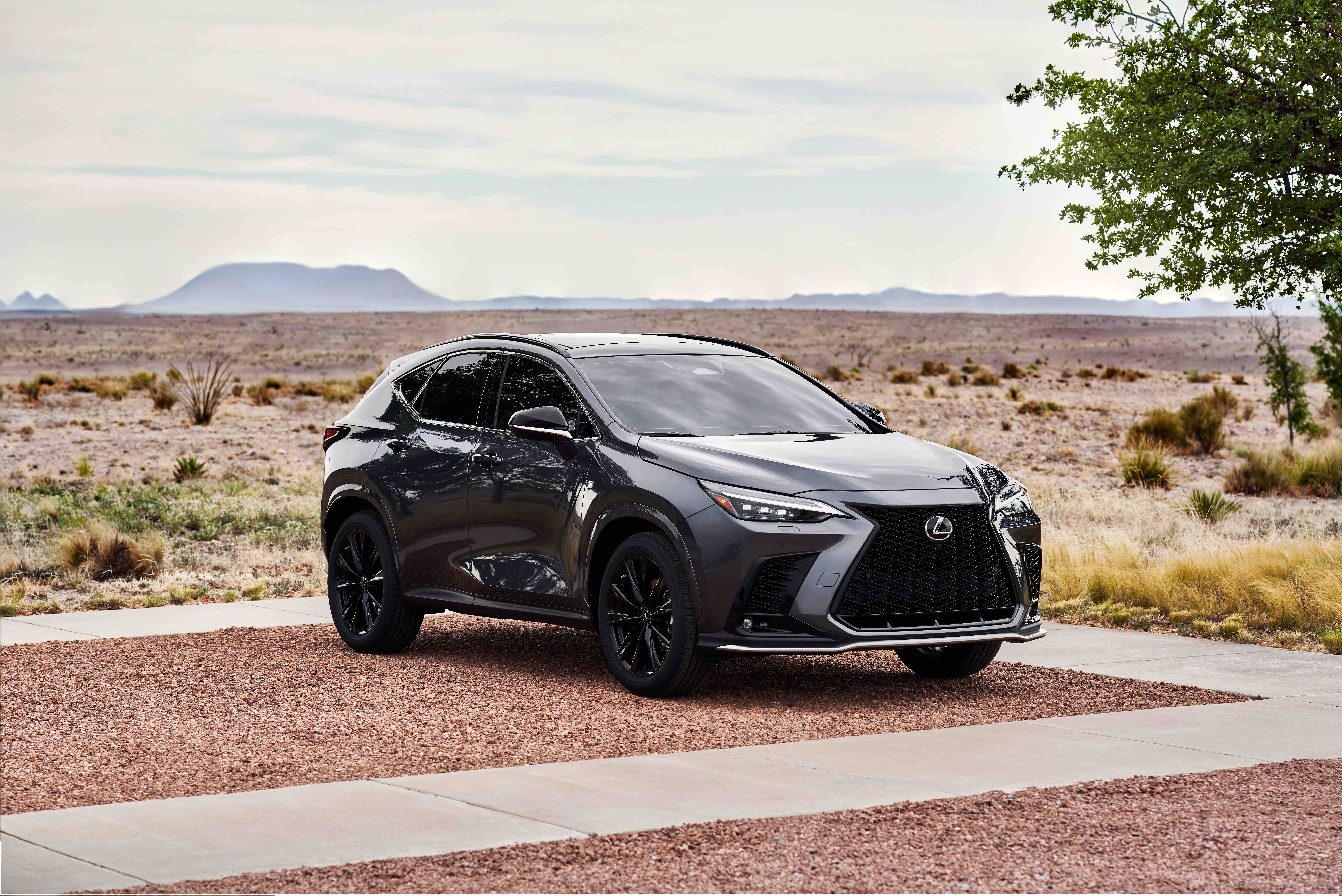 Ein Lexus NX.